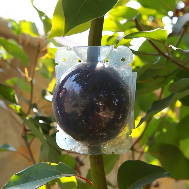 10Pcs High Pressure Plant Root - Plant Parenting ulasan dan harga