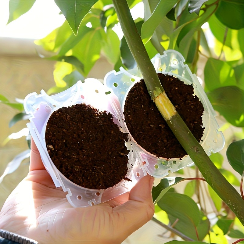 10Pcs High Pressure Plant Root - Plant Parenting ulasan dan harga