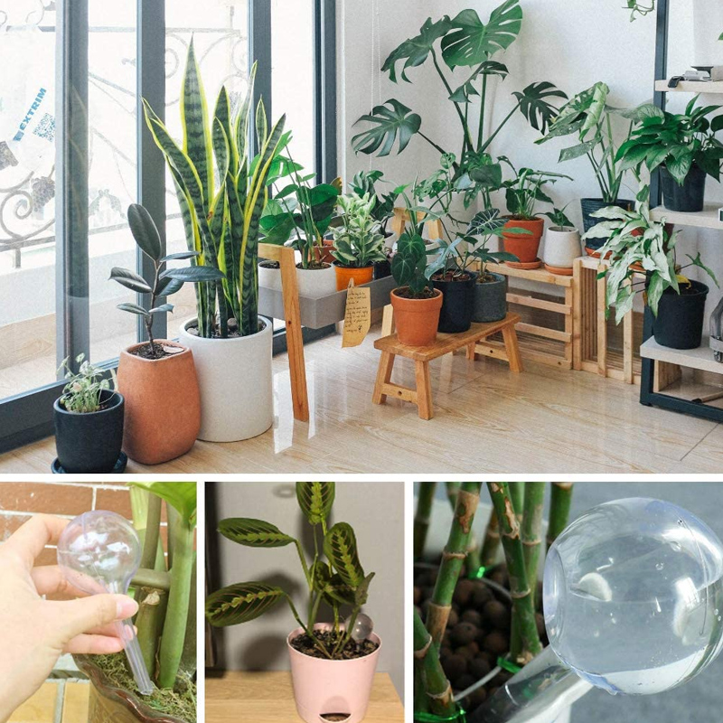 5/10PCS Automatic Plant Wateri - Plant Parent Kit ulasan dan harga